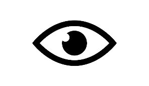 Vision Icon